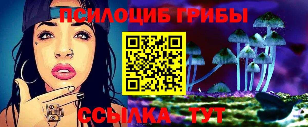 Гусь-Хрустальный  Галлюциногенные грибы ЛСД  Галлюциногенные грибы ЛСД  Вход с VPN 