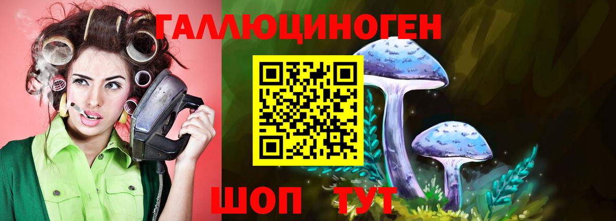 Псилоцибиновые грибы мухоморы Гусь-Хрустальный
